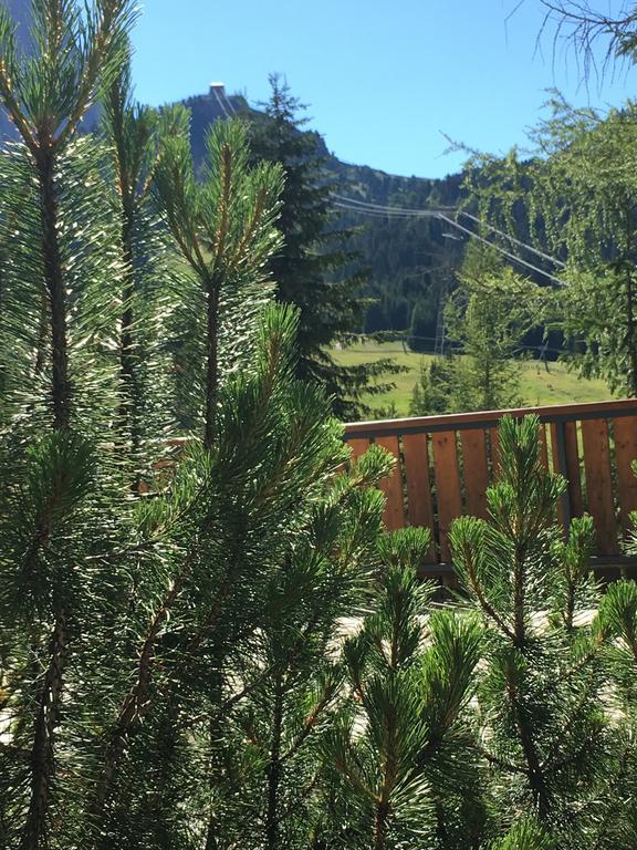 Hotel Meisules Selva di Val Gardena Exterior foto